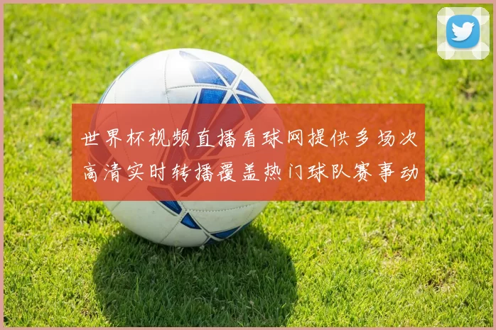 世界杯视频直播看球网提供多场次高清实时转播覆盖热门球队赛事动态