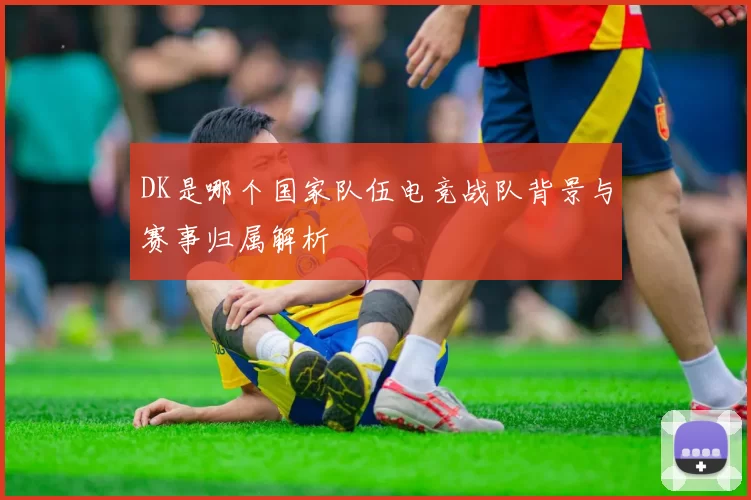 DK是哪个国家队伍电竞战队背景与赛事归属解析