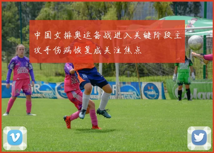 中国女排奥运备战进入关键阶段主攻手伤病恢复成关注焦点