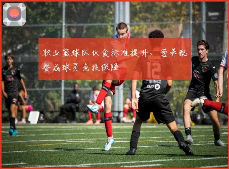 职业篮球队伙食标准提升，营养配餐成球员竞技保障