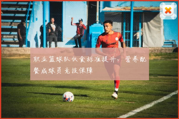职业篮球队伙食标准提升，营养配餐成球员竞技保障